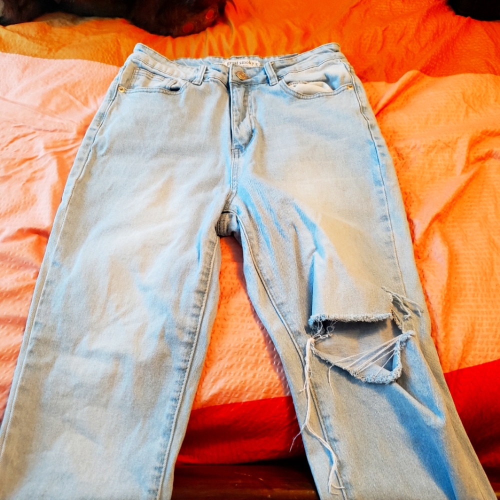 Great Smoky Los Angeles ripped size 11 blue jeans